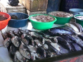 Seafood di Pantai Depok